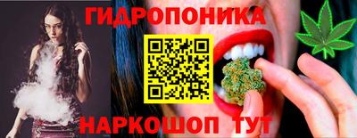 гидра Партизанск