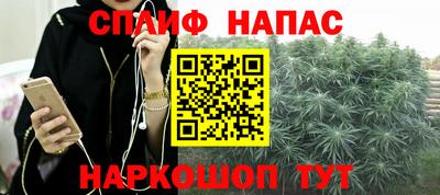 гидра Партизанск